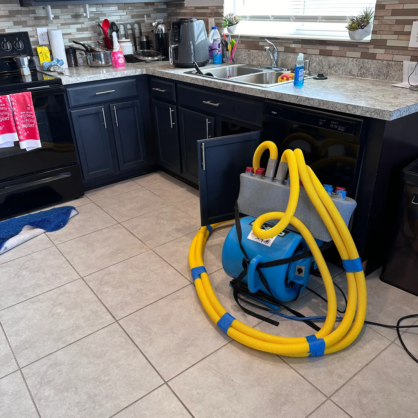 Interior cleanup and remediation conditions