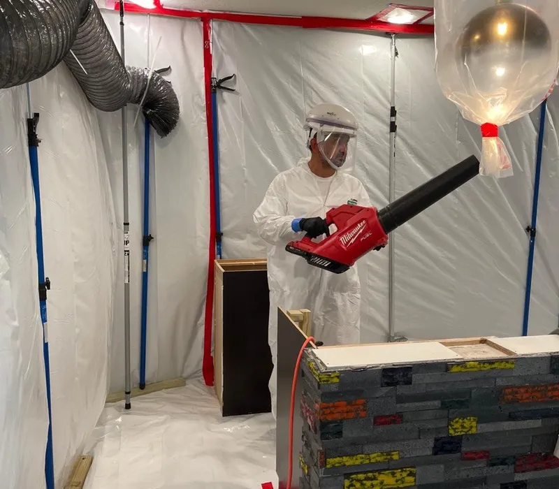 Mold Remediation